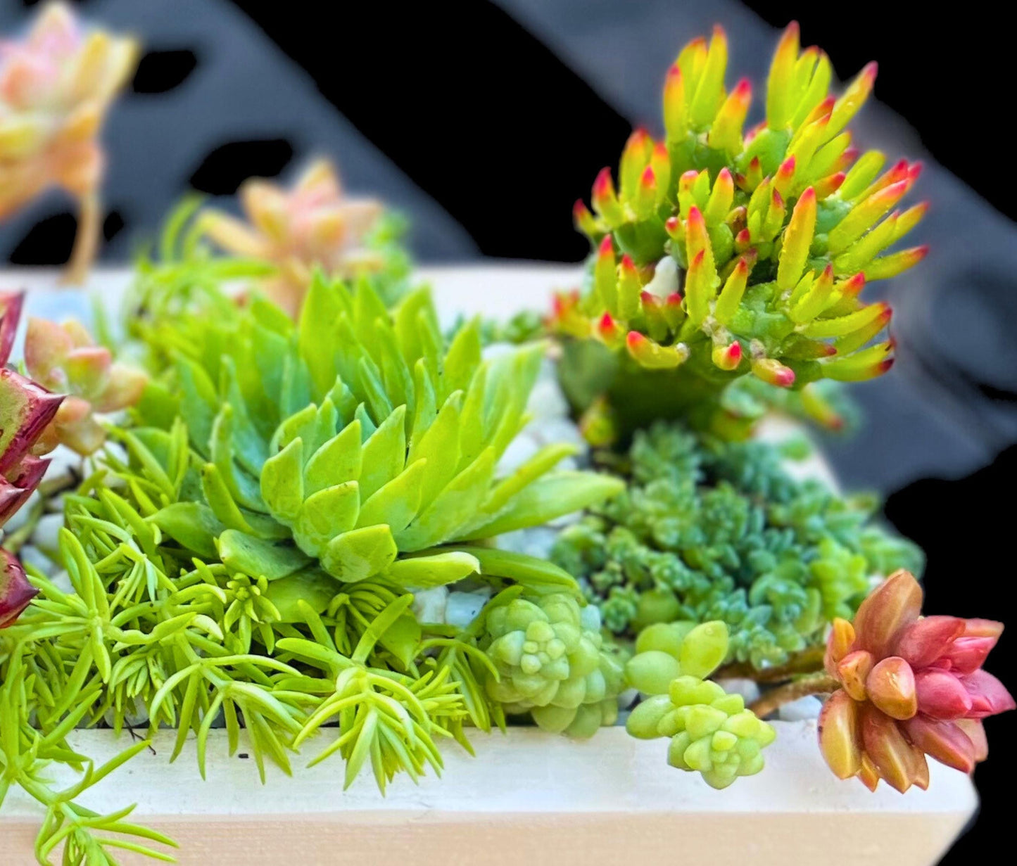 Rustic Succulent Planter 16" Beautiful Handmade Wooden Box