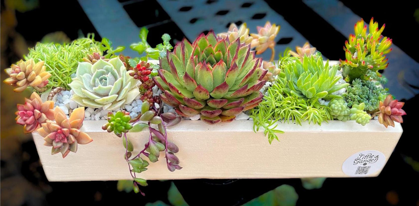 Rustic Succulent Planter 16" Beautiful Handmade Wooden Box