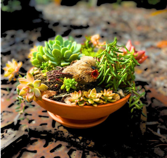 Succulent Fall Style Large Arrangement