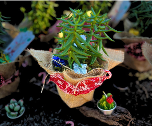 Charming Succulent Christmas Tree
