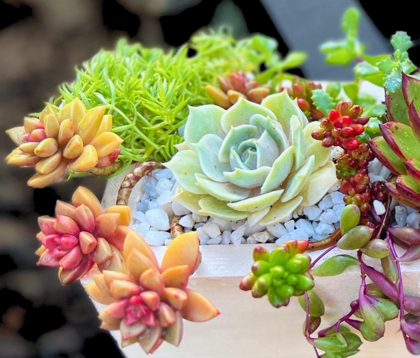 Rustic Succulent Planter 16" Beautiful Handmade Wooden Box