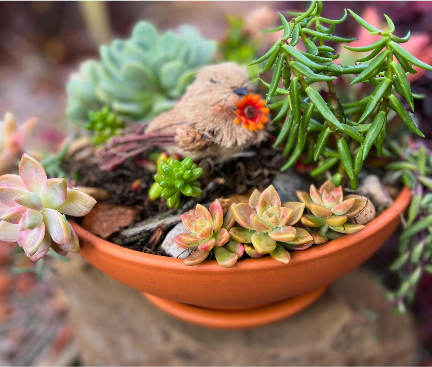 12” Low Clay Handmade Terracotta Pot