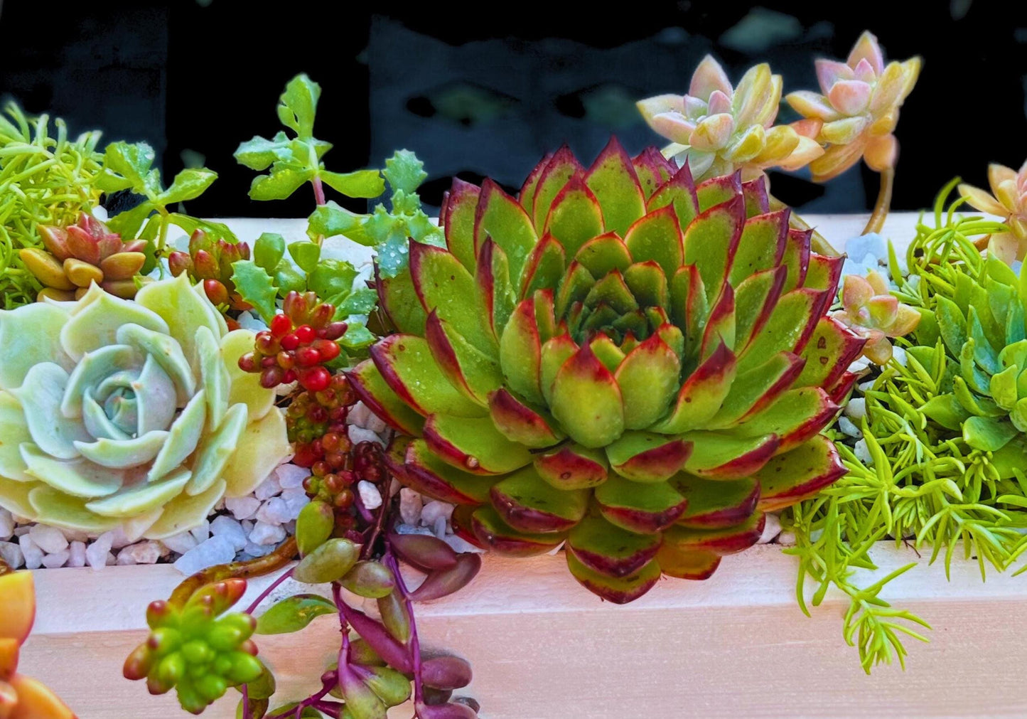 Rustic Succulent Planter 16" Beautiful Handmade Wooden Box