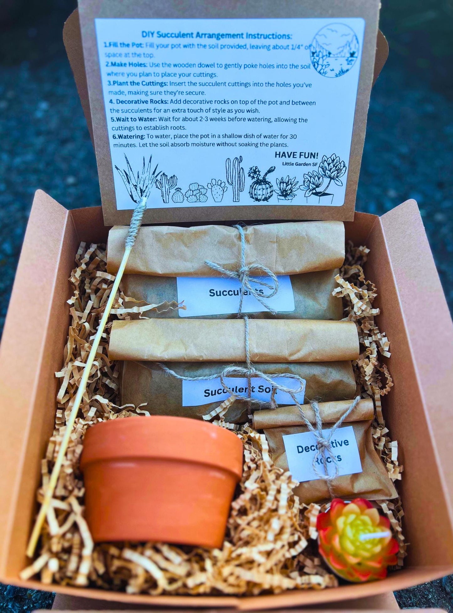 DIY Succulent Arrangement Kit